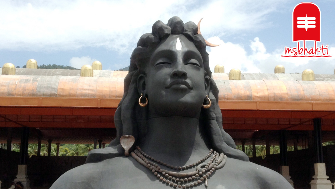 तपस्या से कम नहीं अमरनाथ यात्रा